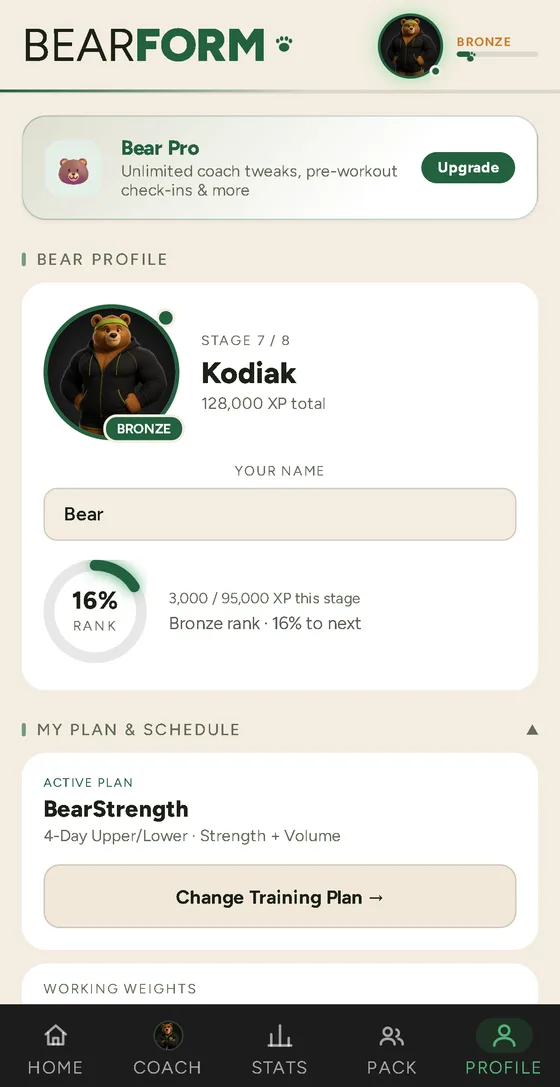 Bear profile showing rank, stage and XP
